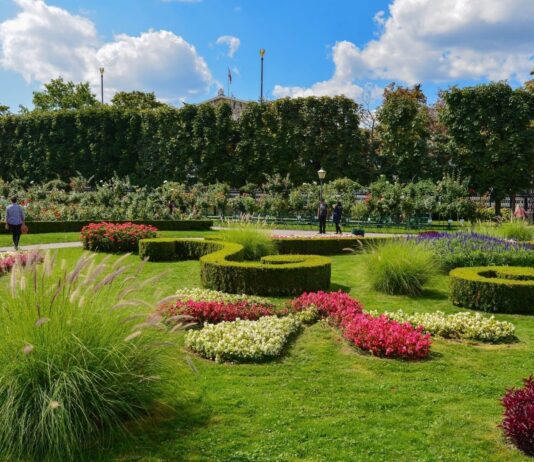 Wiener Park Volksgarten: Geschichte, interessante Fakten