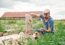 Schneckenfarm Andreas Gugumuck: Geschichte der Gründung, Besonderheiten