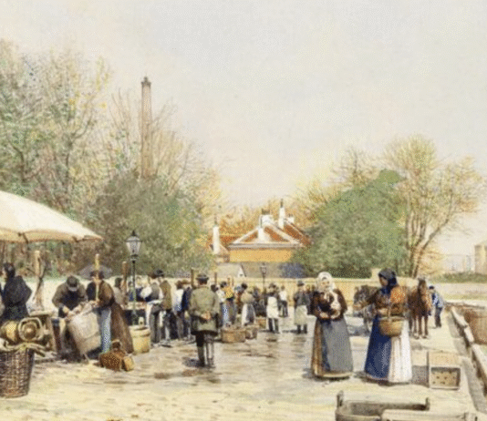 Fischereiindustrie Wiens im 18. und 19. Jahrhundert