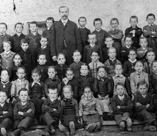 Leben und Wirken des Wiener Biologen Josef Stadlmann