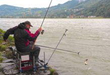 Besonderheiten des Angelns in Wien
