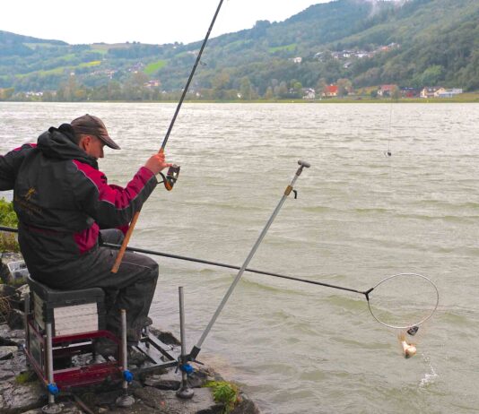 Особенности рыбалки в Вене