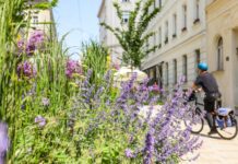 Інноваційне озеленення у Відні — турбота про навколишнє середовище та людей