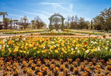 Botanischer Garten „Hirschstetten“ – das natürliche Juwel Wiens