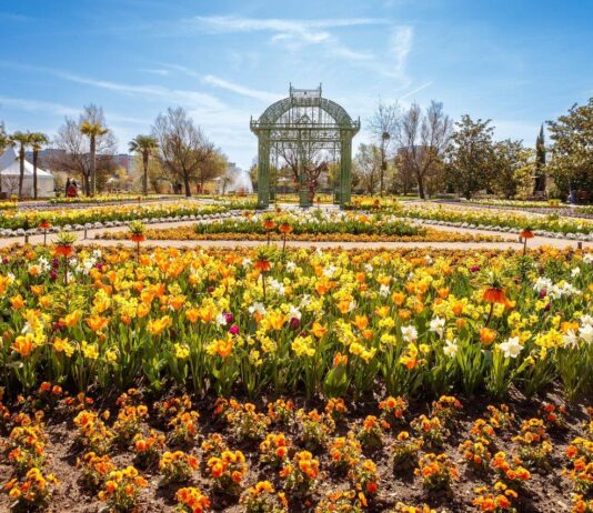 Ботанічний сад “Гіршштеттен” – природна перлина Відня