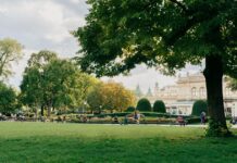 Umweltsituation Wiens