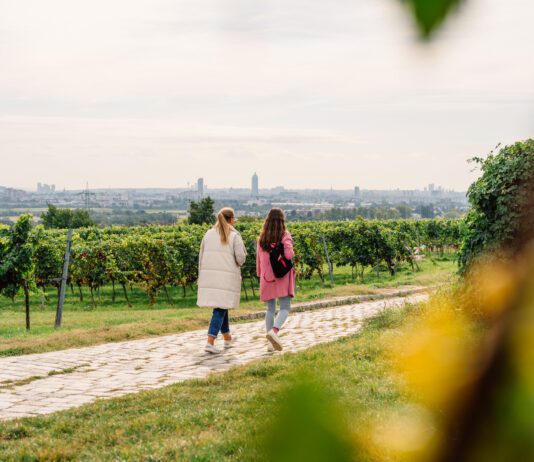 Leben im Öko-Stil in Wien