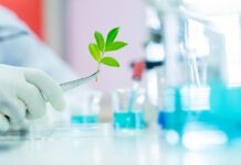 Friedrich Ehrendorfer – „Vater“ der Karyotaxonomie