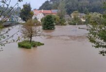 Угроза из воды в Вене: масштабные наводнения Дуная