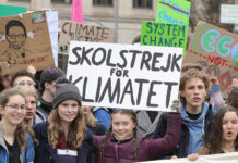 Ökologisches Wien 2025: Strategien, Maßnahmen und Initiativen der Bewohner