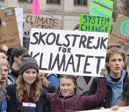 Экологическая Вена 2025: стратегии, акции и инициативы жителей