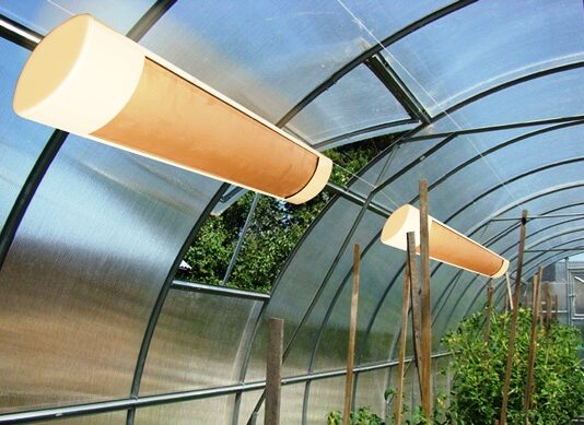 Grüne Inklusion: Wie soziale Gewächshäuser in Österreich Arbeitsplätze für Menschen mit Behinderungen schaffen