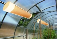 Зелена інклюзія: як соціальні теплиці в Австрії забезпечують роботою людей з інвалідністю