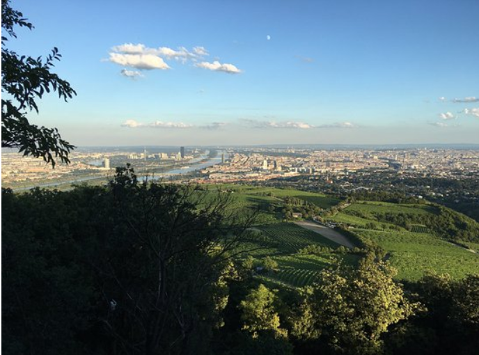 Waldseilpark Kahlenberg