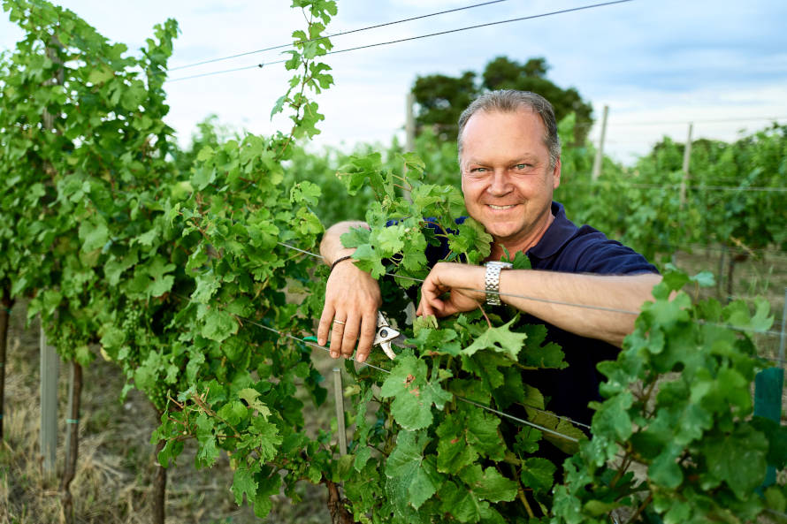 Winzer Fritz Wieninger