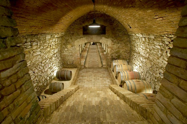 Blick auf die Wiener Weingärten