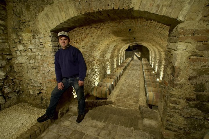 Auszeichnungen für Wieninger Wein