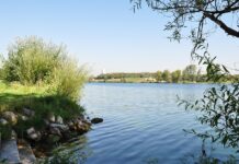 Дамбы и водные системы в Вене: как город усмирил Дунай