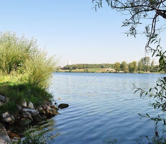 Дамбы и водные системы в Вене: как город усмирил Дунай