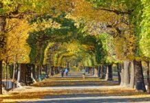 Augarten