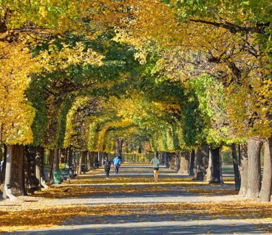 Augarten