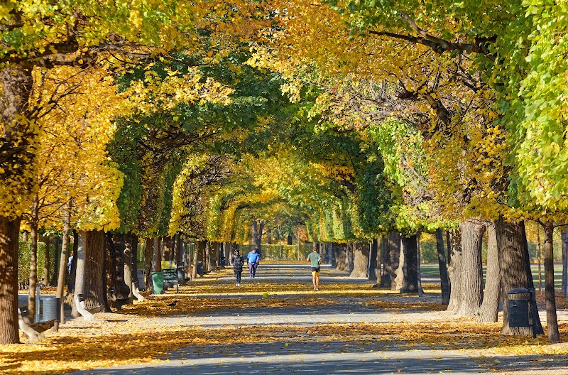 Augarten