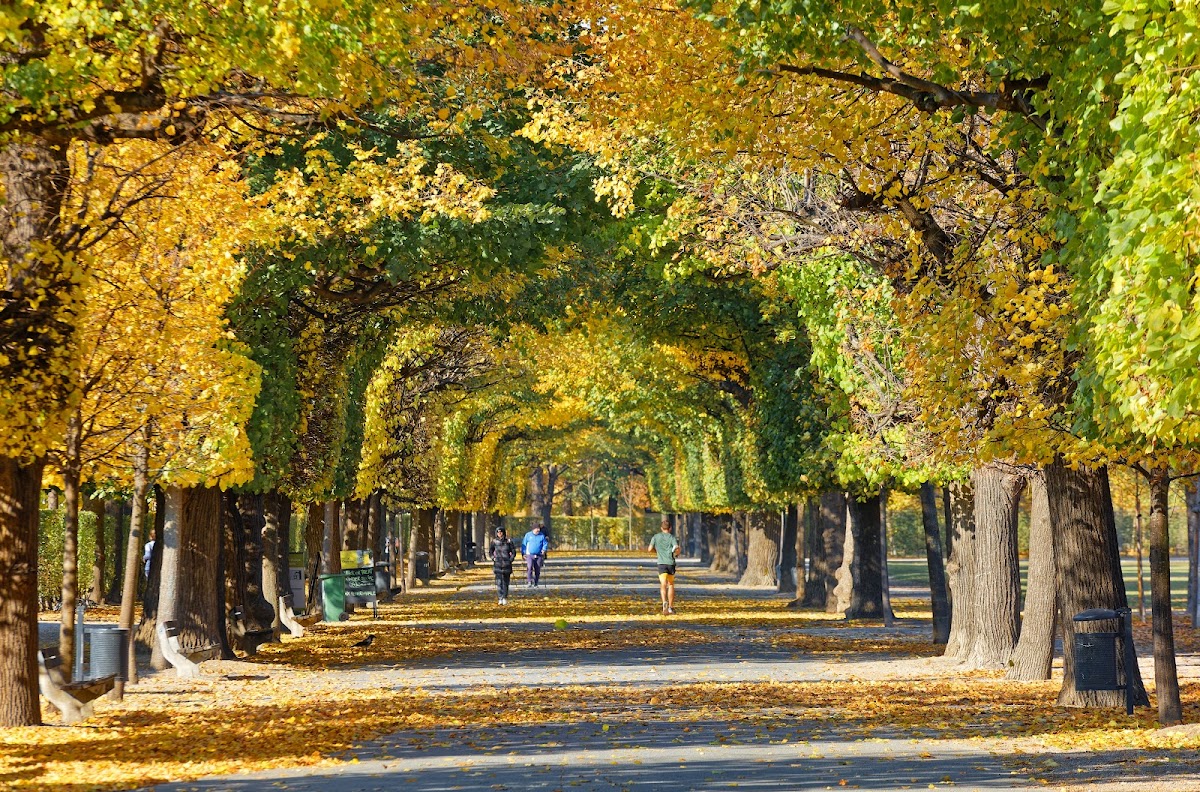 Augarten — Park