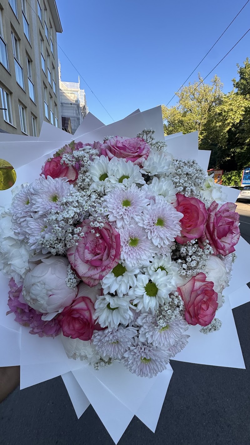 Blume & Co