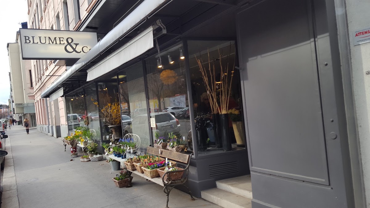 Blume & Co — Florist