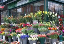 Blumen Lippe – Stadtpark Wien (Vienna)