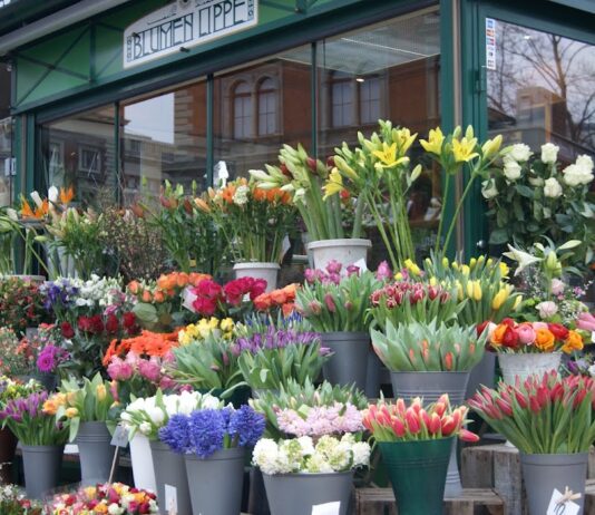 Blumen Lippe – Stadtpark Wien (Vienna)
