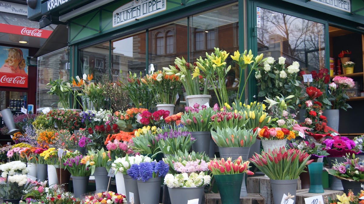 Blumen Lippe - Stadtpark Wien (Vienna) — Florist