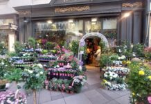 Blumenhaus zum Dom