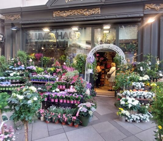 Blumenhaus zum Dom