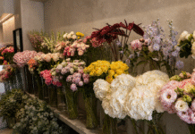 Blumerie | Blumengeschäft & Blumenversand in Wien