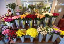 MO BLUMEN