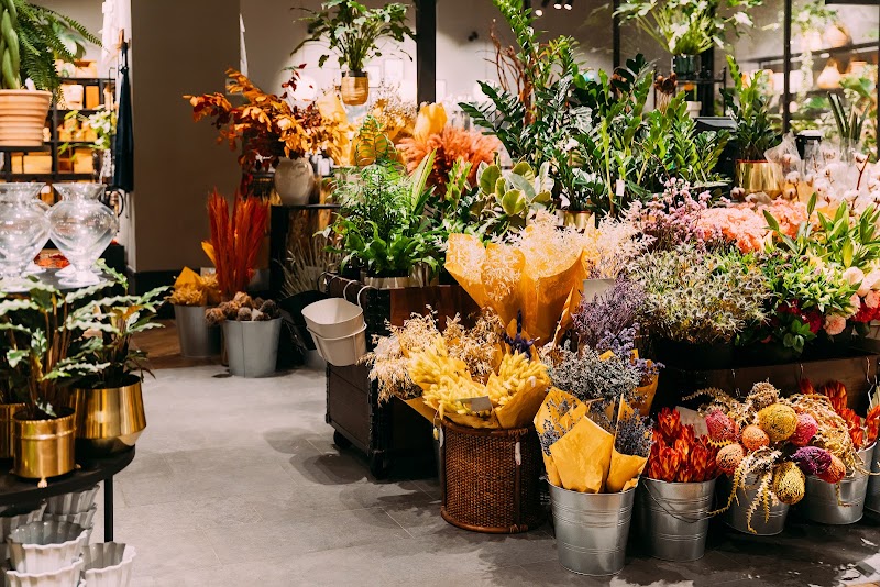 MO BLUMEN