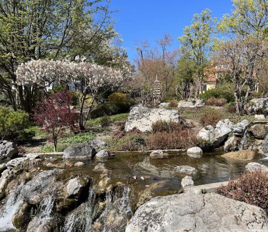Setagayapark