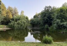 Türkenschanzpark