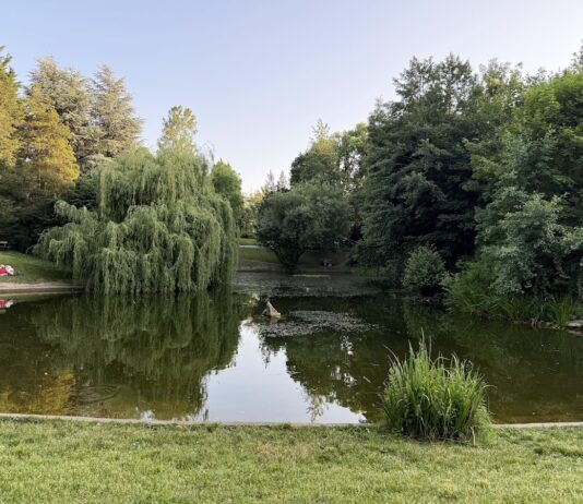 Türkenschanzpark